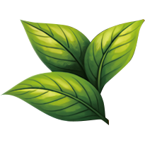 茶葉