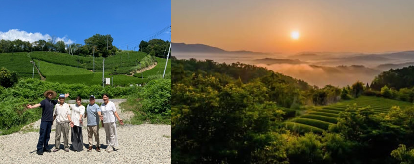 井戸野茶園との研修委託契約